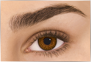 FreshLook ColorBlends Brown