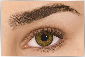 FreshLook ColorBlends Pure Hazel