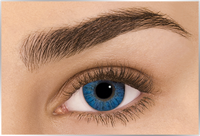 FreshLook ColorBlends Brilliant Blue