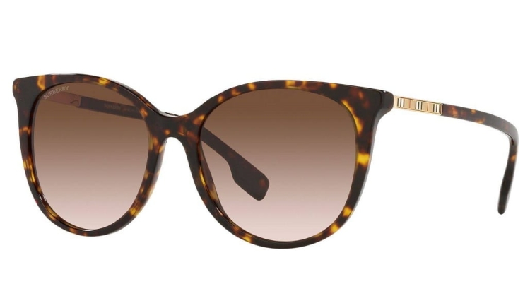 8b86650ec228b55951931f4043631a52