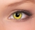 yellow.jpg