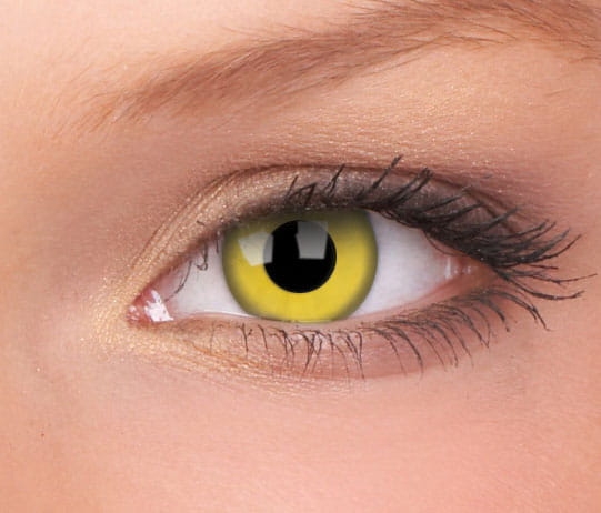 yellow.jpg