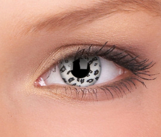white leopard.jpg