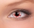 wild blood.jpg