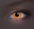 glow orange.jpg