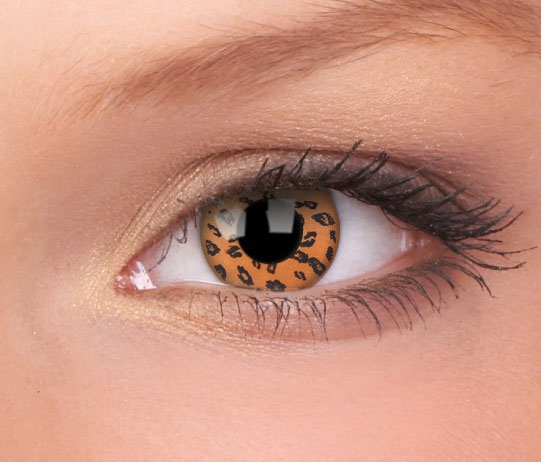 yellow leopard.jpg