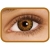 FreshLook One Day Pure Hazel, 10 szt. 