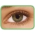 FreshLook One Day Green, 10 szt.